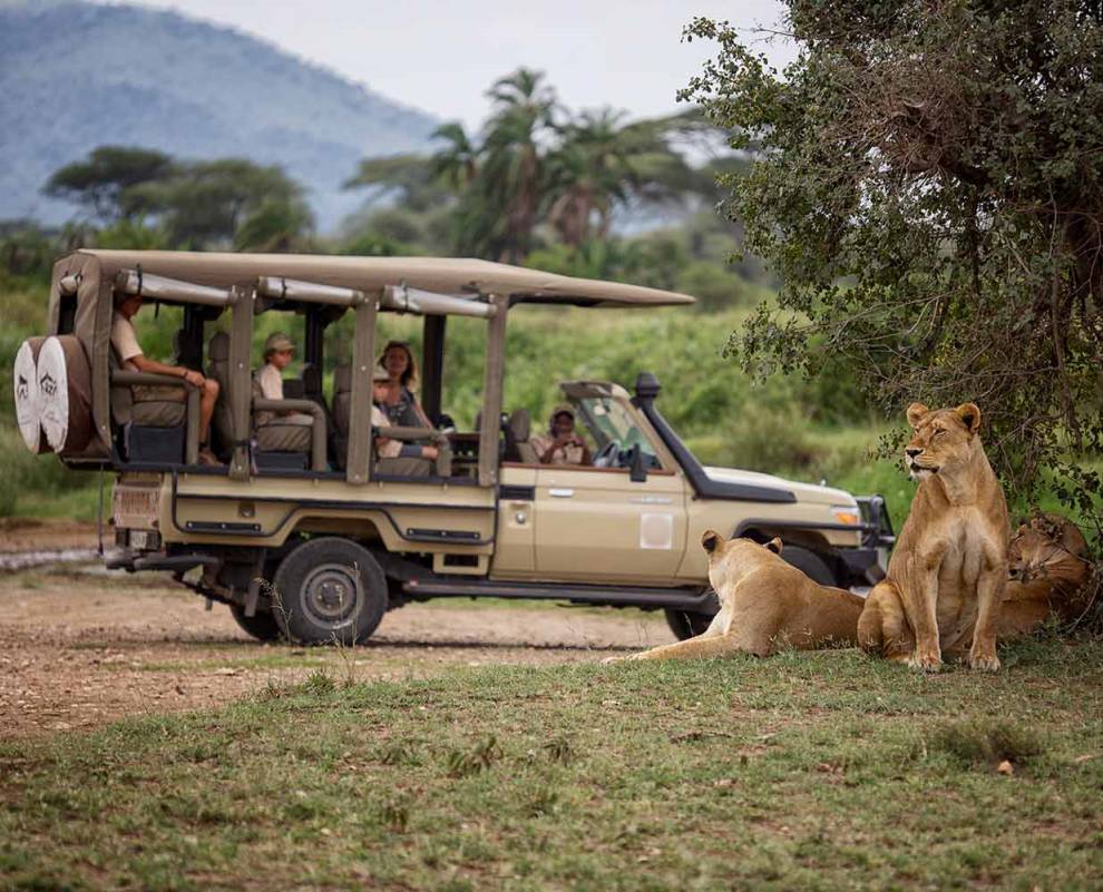 6AB - Silverbill Tours